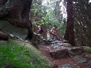 30 La secolare radice ha ingoiato il masso